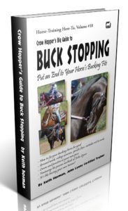 Crow Hopper's Big Guide to Buck Stopping