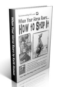 When Your Horse Rears: How to Stop It