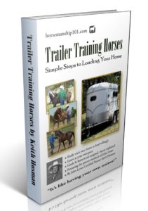 Trailer Training Horses