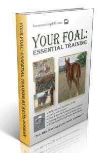Your Foal: Essential Training