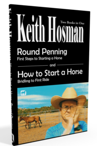 What I'd Teach Your Horse: Training & Re-Training the Basics
